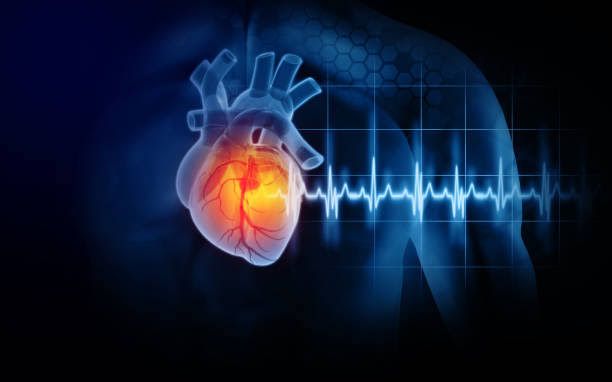 Your Heart Warns You Years Before a Heart Attack — Here’s the Sign Many Miss and How to Act Early
