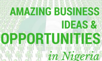 Best Online Businesses in Nigeria to Start with ₦200k