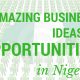 Best Online Businesses in Nigeria to Start with ₦200k