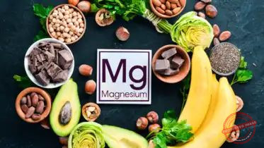 4 Essential Nutrients That Boost Brain Development and Cognitive Health
