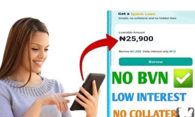 30 Loan Apps in Nigeria Wey Never Cast That Actually Disburse Money Without Stress (Even Without a Credit Score)