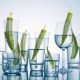 Okra Water: Benefits, Risks, and What You Should Know Before Drinking It