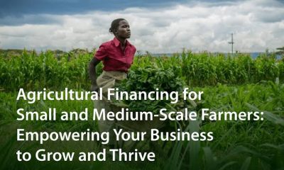 Agricultural Loans for Farmers in Nigeria: How to Finance Livestock and Crop Farming