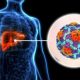 How to Know If You Have Hepatitis B: Symptoms and Tests in Nigeria