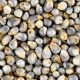 Millet vs Rice: Which is Healthier for Nigerian Families?