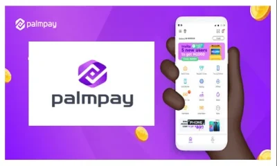 How to Extend PalmPay Loan Repayment in Nigeria and Avoid Late Fees