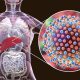 Latest Hepatitis B Treatment Options in Nigeria