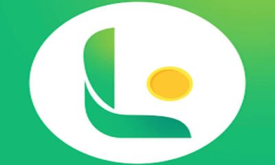 LendMax Loan App Review: Hidden Charges, High Interest Rates, and Better Alternatives in Nigeria