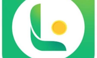 LendMax Loan App Review in Nigeria – Interest Rates, Legitimacy, and Hidden Costs