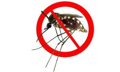 Best Malaria Treatment Drugs in Nigeria: Prices and Where to Buy