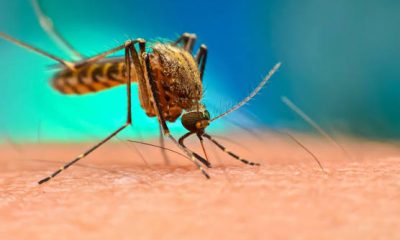 Malaria Test Cost in Nigeria: What Hospitals Charge