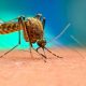 Malaria Test Cost in Nigeria: What Hospitals Charge
