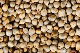 How to Prepare Millet for Better Nutrition and Energy