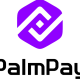 PalmPay Loan Extension vs Other Loan Apps: Which Platform Gives More Flexibility?