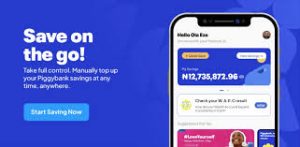 PiggyVest vs Cowrywise: Best App for Nigerian Students to Save and Invest