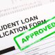Private Student Loans vs Government Loans in Nigeria Compared