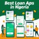 Giant Loan App Review: Instant Cash Loan Without BVN in Nigeria (NIN Loan + APK Download Link)