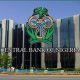 How to Get CBN Loans for Small and Medium Enterprises (SMEs)