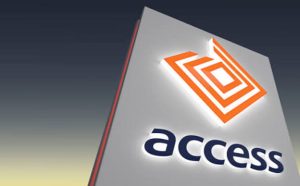12 Types of Loans You Can Get from Access Bank