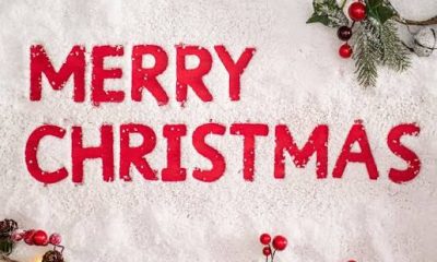 Top 16 Loan Apps in Nigeria Offering Instant Christmas and New Year Loans (2025 Update)