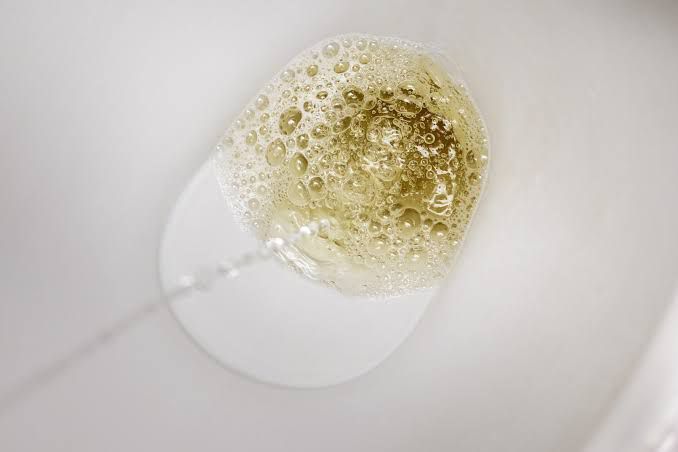 What Causes Foamy Urine and Why You Shouldn’t Ignore It