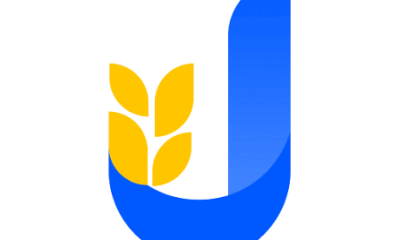 Jollof Cash Loan App Review – Fast Loan Approval in Nigeria but High Interest and Hidden Charges