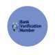 CBN Rules on BVN for Online Loans in Nigeria