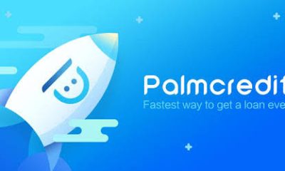 PalmCredit Charges Explained: Monthly Interest, Daily Penalties, and How to Avoid Late Fees
