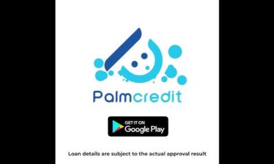 Top Tips to Boost Your PalmCredit Loan Limit