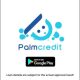 Top Tips to Boost Your PalmCredit Loan Limit
