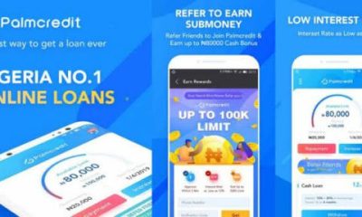 PalmCredit App Step-by-Step Guide: Borrowing Made Easy for First-Timers