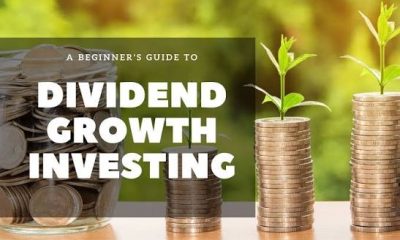 Dividend Growth Investing: How to Build a Portfolio That Pays Forever