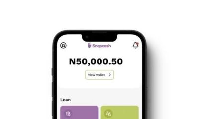 Does Snapcash Loan App Defame Users? Sterling Bank Loan App Review, Facts, Risks and Truth Explained
