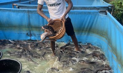 Fish Farming Equipment and Prices in Nigeria: Starter Setup Cost Breakdown