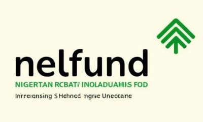 Best Student Loan Options in Nigeria 2026: High-Value Alternatives Compared to NELFUND Education Loan