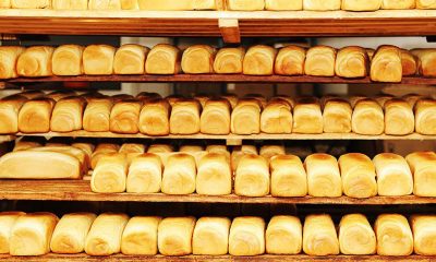 Commercial Bread Production Business in Nigeria for Bulk Buyers and Distributors