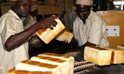 Bread Production Business in Nigeria Using Gas Ovens vs Electric Ovens (Cost & Profit)