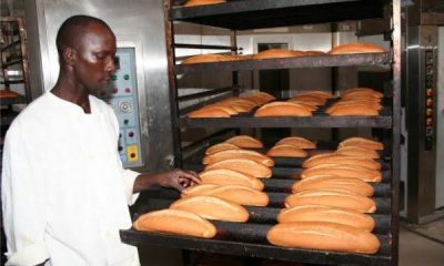 Automated Bread Production Business in Nigeria: Machine Prices and Daily Output