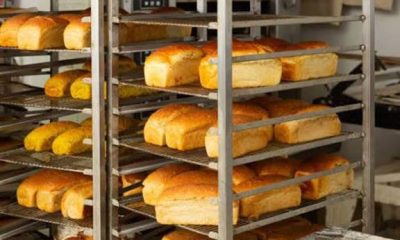 Large-Scale Bread Production Business in Nigeria: Monthly Revenue and Operating Cost