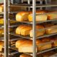 Large-Scale Bread Production Business in Nigeria: Monthly Revenue and Operating Cost
