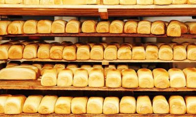 Bread Production Business Loan in Nigeria: How to Secure Bakery Financing
