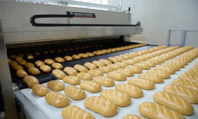 Bread Production Business in Nigeria: Full Capital Requirement and Profit Forecast