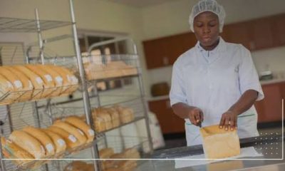 Bread Production Business in Nigeria: Cost of Raw Materials and Production Margins