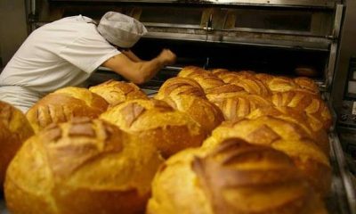 Industrial Bread Production Business in Nigeria for Supermarkets and Institutions