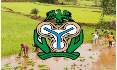 CBN AGSMEIS Loan in Nigeria 2026: Application Process, Eligibility & Benefits Explained