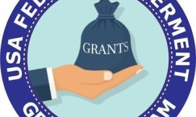 Federal Grants vs SBA Loans: Which Funding Option Is Better for Small Businesses?